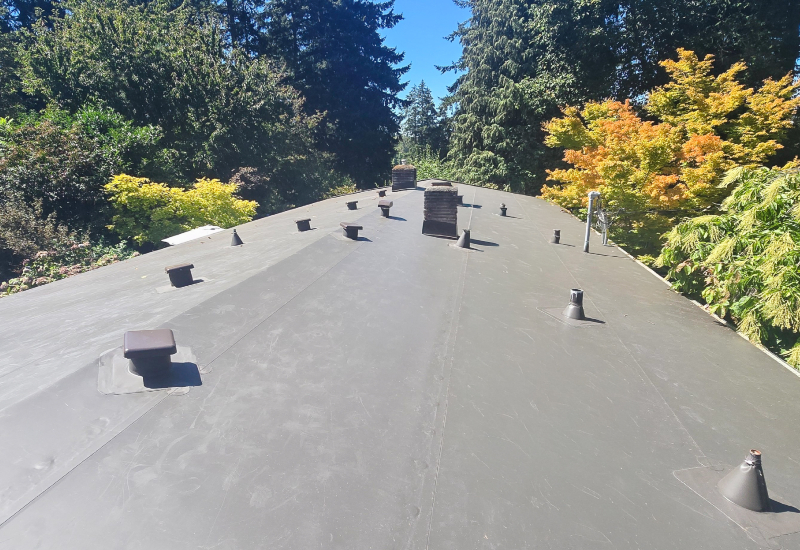 Roof-level view showing the completed GAF EverGuard TPO roof in Dark Bronze on a single-story home