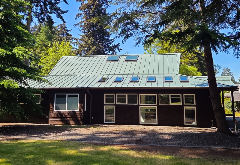 Exterior view of multiple VELUX skylights installed along the metal roof, bringing natural light into the home's living spaces and office.