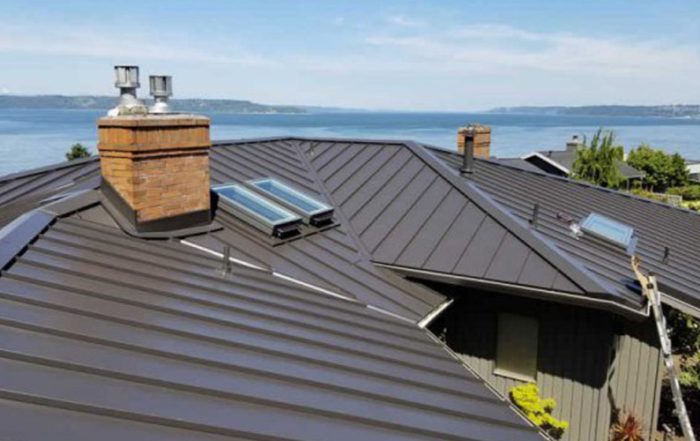 ROOF BOSS Metal Roof