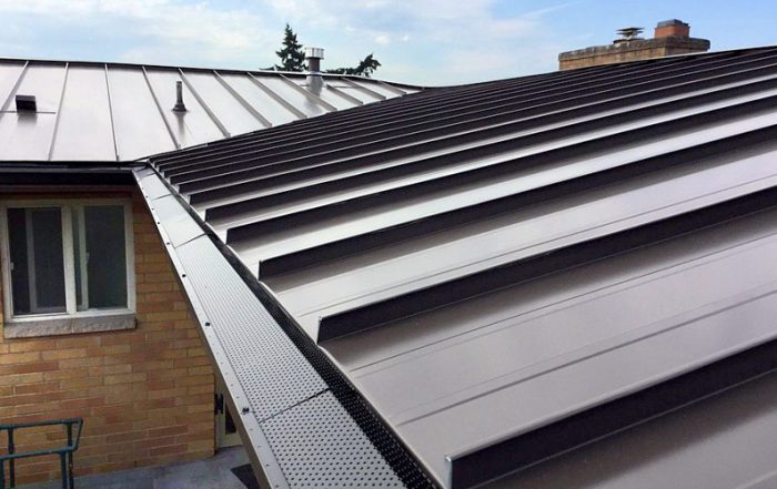ROOF BOSS Winterizing Roof